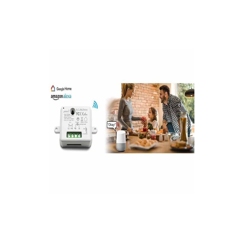 Modulo interruptor-enchufe inteligente Wifi Alexa-Google
