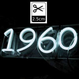 Tira LED Neon Flex 8W/m 12Vdc 6000K IP67 5m