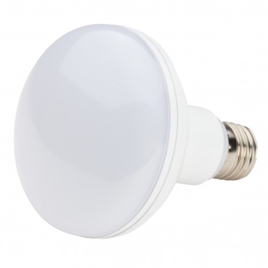 Bombilla R-90 LED 12W 230V
