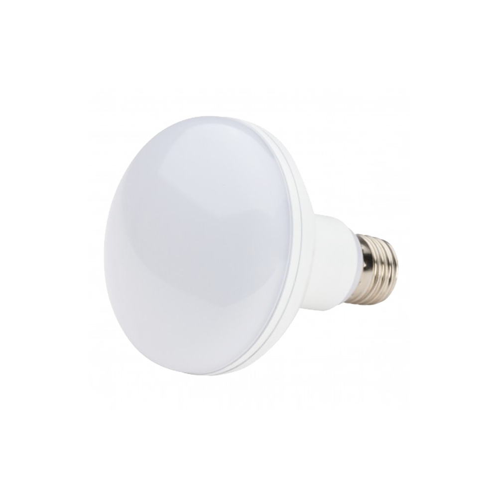 Bombilla R-90 LED 12W 230V