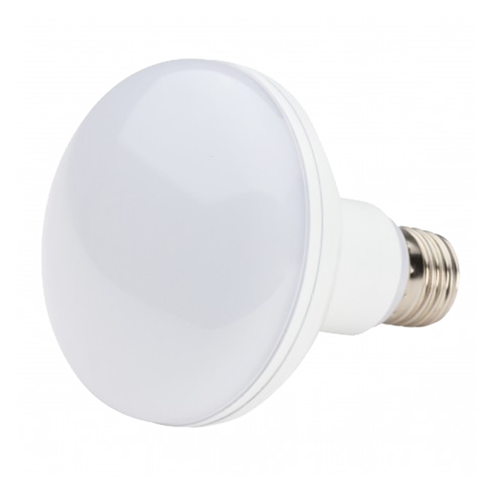 Bombilla R-90 LED 12W 230V