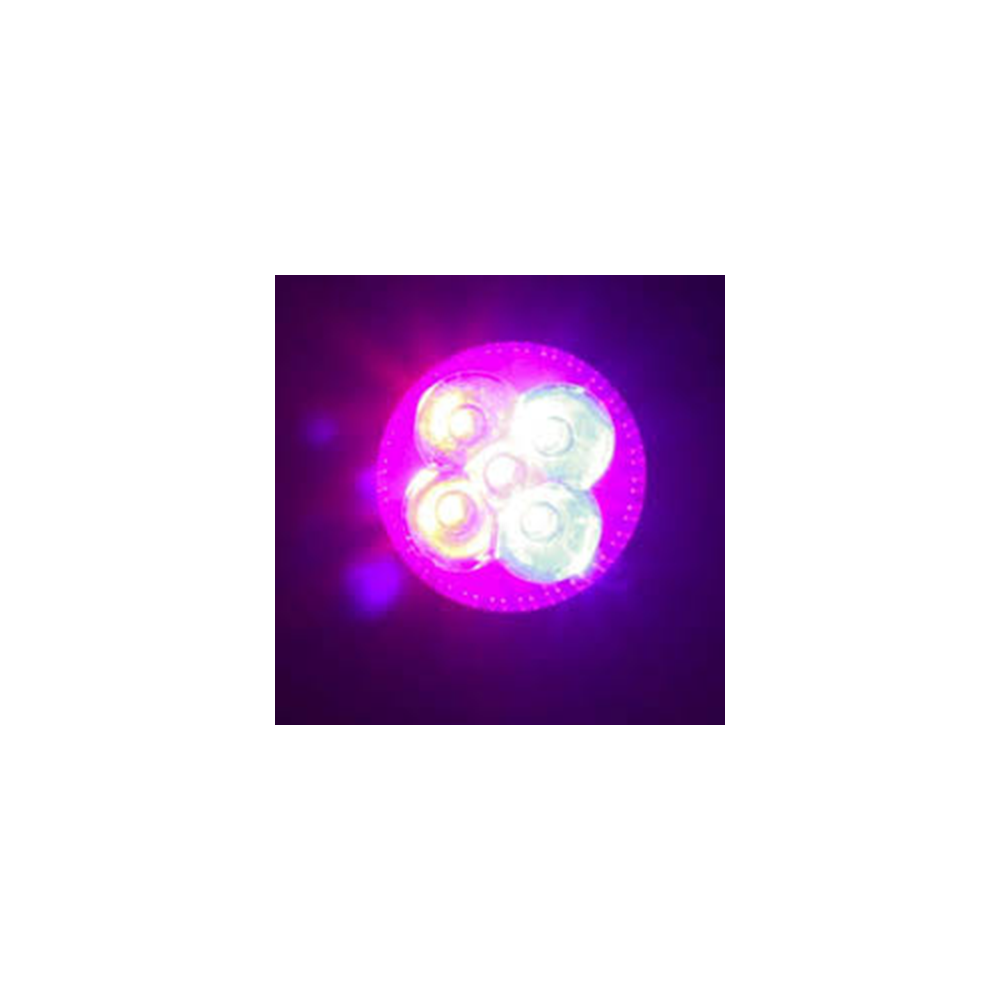Dicroica GU10 LED 5W Cultivos/Plantas Roja-Azul