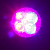 Dicroica GU10 LED 5W Cultivos/Plantas Roja-Azul