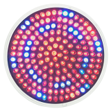 Dicroica GU10 LED 5W Cultivos/Plantas Roja-Azul