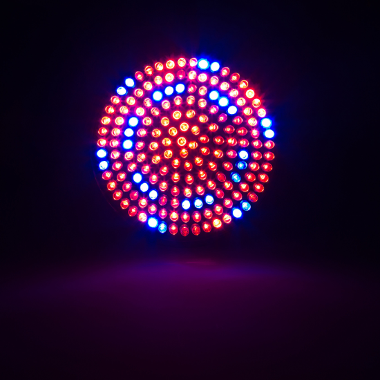 Dicroica GU10 LED 5W Cultivos/Plantas Roja-Azul