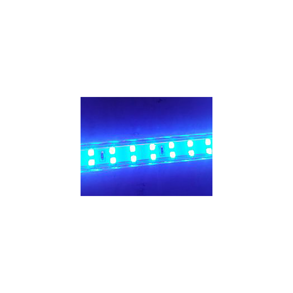 Tira LED SMD 2835 13 W/m AZUL 230V IP67 5 metros