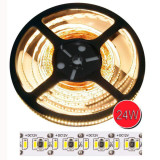 Tira LED SMD 3014  24 W/m 12V IP20 5m