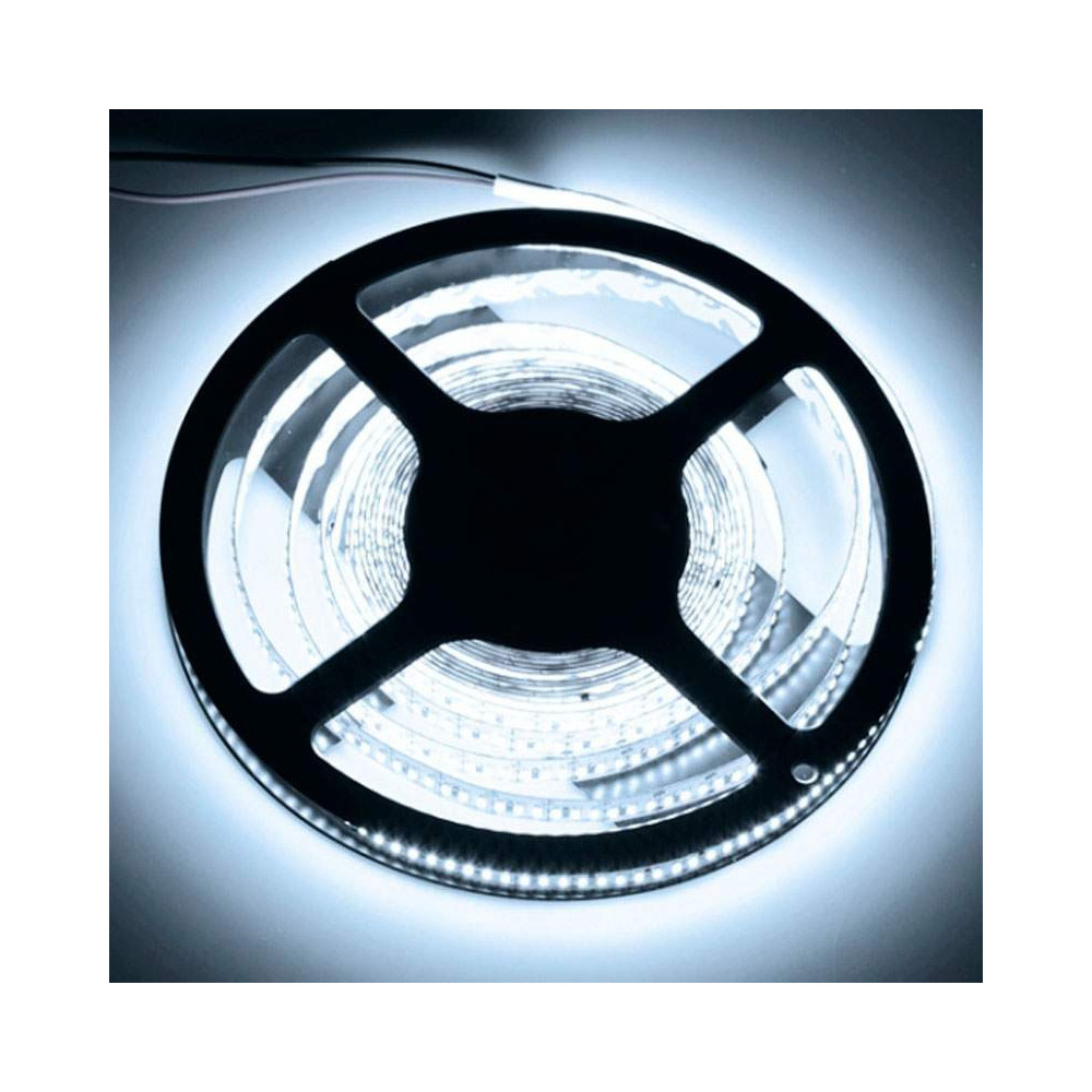 Tira LED SMD 3014  24 W/m 12V IP20 5m