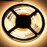 Tira LED SMD 3014  24 W/m 12V IP20 5m