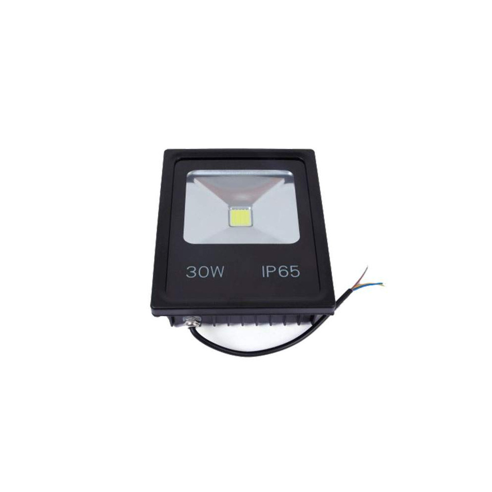 Foco proyector LED COB ECO 30W