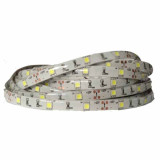 Tira LED SMD 5050 7,2 W/m 12V IP20 5m