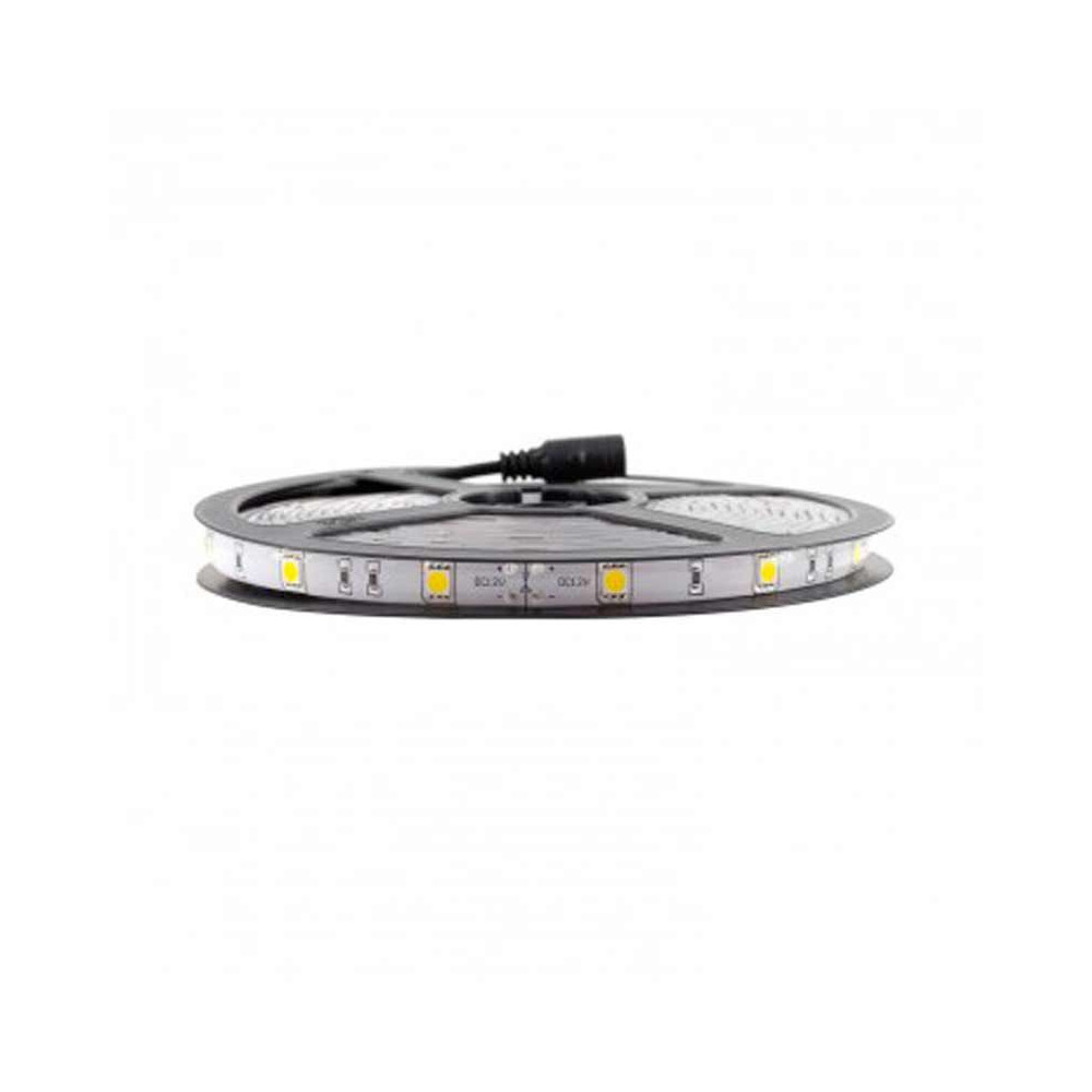 Tira LED SMD 5050 7,2 W/m 12V IP65 5 metros
