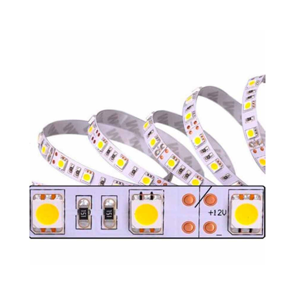 Tira LED SMD 5050 14,4 W/m 12V IP20 1 metro