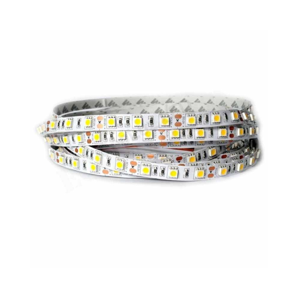 Tira LED SMD 5050 14,4 W/m 12V IP20 1 metro