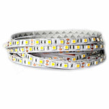 Tira LED SMD 5050 14,4 W/m 12V IP20 1 metro