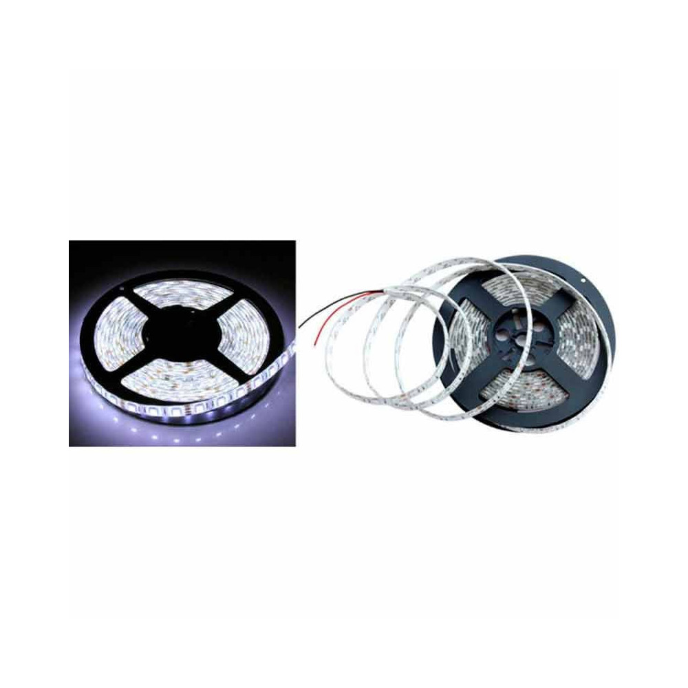 Tira LED SMD 5050 14,4 W/m 12V IP65 1 metro