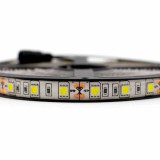 Tira LED SMD 5050 14,4 W/m 12V IP65 1 metro