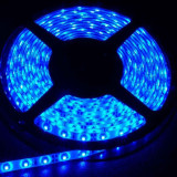 Tira LED Azul 14,4 W/m 12V IP65 5 metros