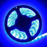 Tira LED Azul 14,4 W/m 12V IP65 5 metros