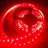 Tira LED Roja 14,4 W/m 12V IP20 5 metros