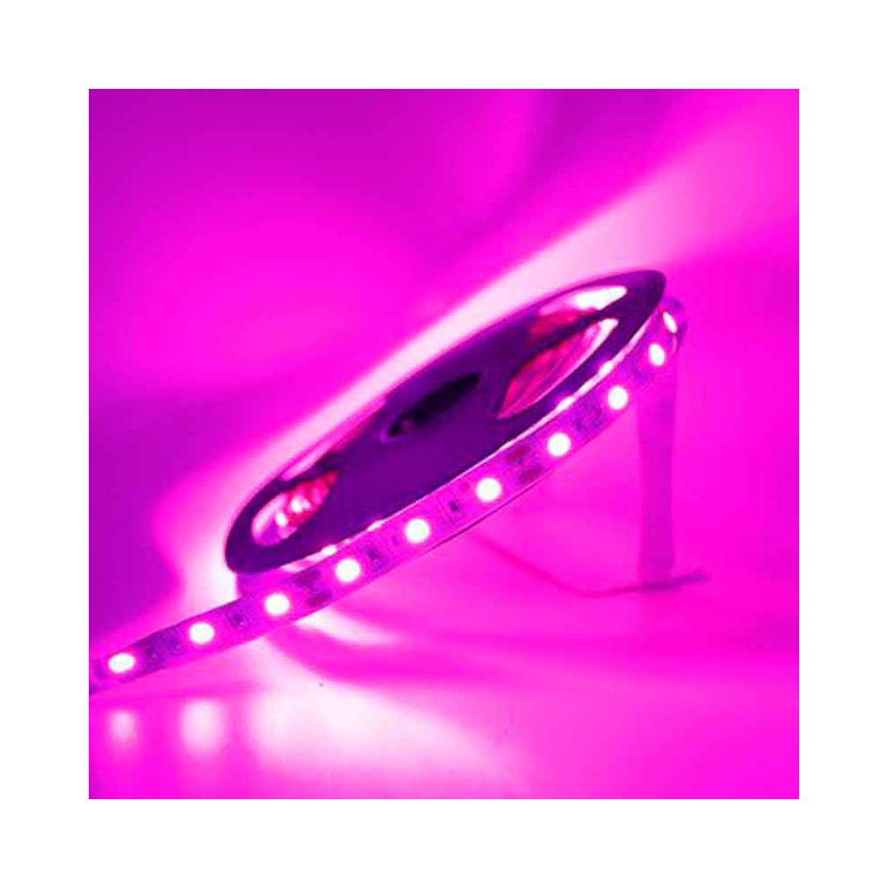 Tira LED Rosa-Violeta 14,4 W/m 12V IP20 5 metros