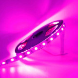 Tira LED Rosa-Violeta 14,4 W/m 12V IP20 5 metros