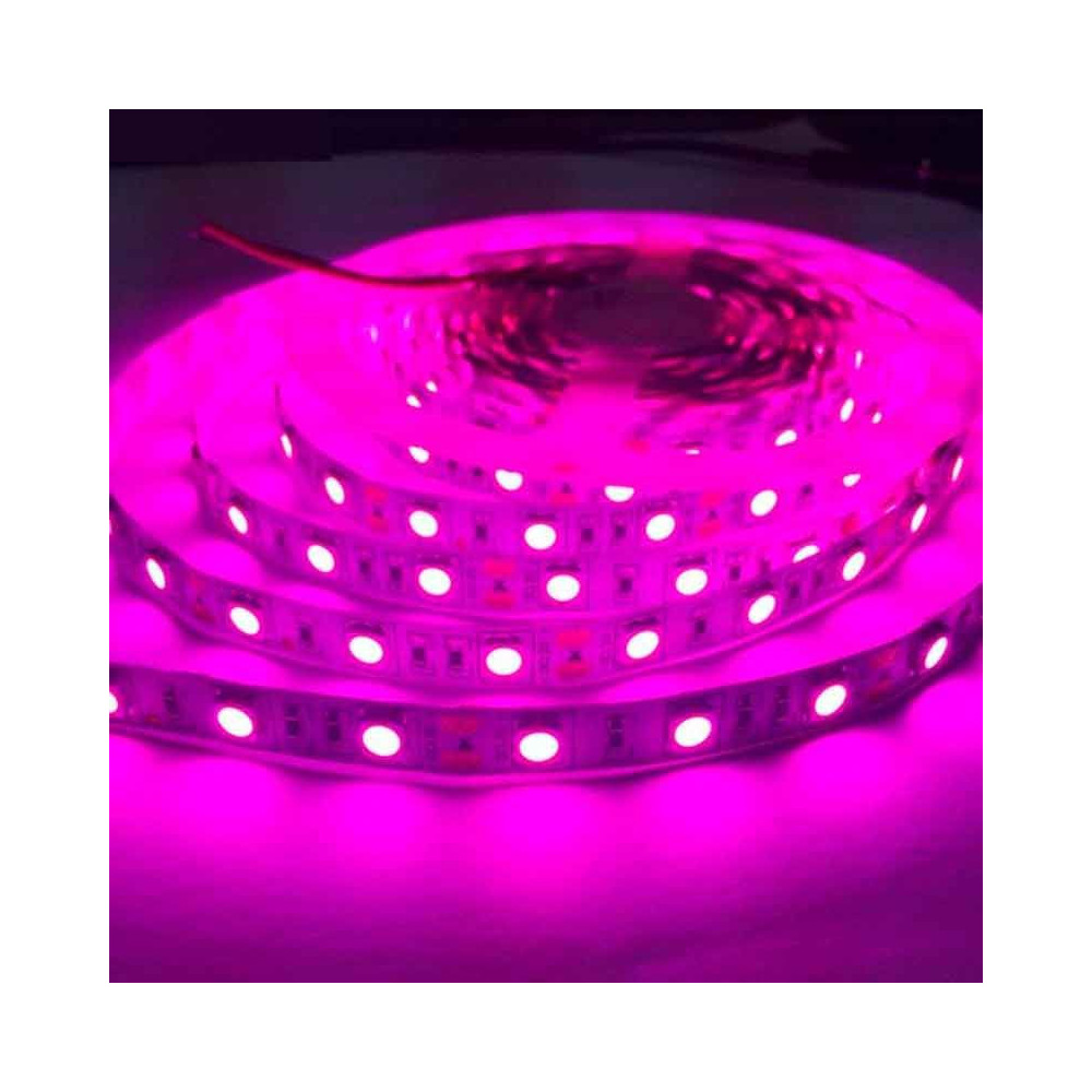 Tira LED Rosa-Violeta 14,4 W/m 12V IP20 5 metros