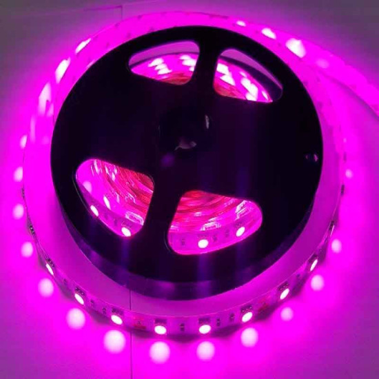 Tira LED Rosa-Violeta 14,4 W/m 12V IP20 5 metros