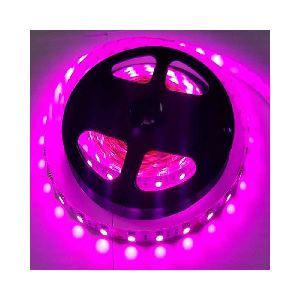 Tira LED Rosa-Violeta 14,4 W/m 12V IP20 5 metros
