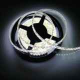 Tira LED SMD 3528 9,6W/m 12V IP65 5 metros